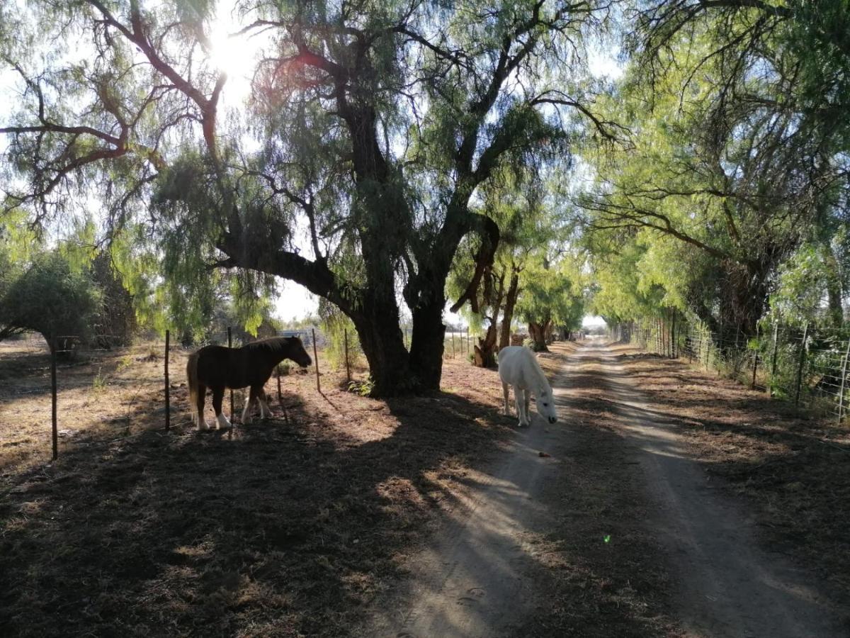 Doornfontein Guest Farm Hotel คราด็อค ภายนอก รูปภาพ