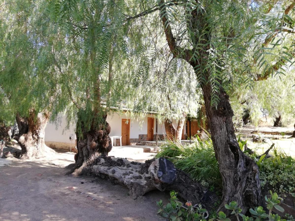 Doornfontein Guest Farm Hotel คราด็อค ภายนอก รูปภาพ